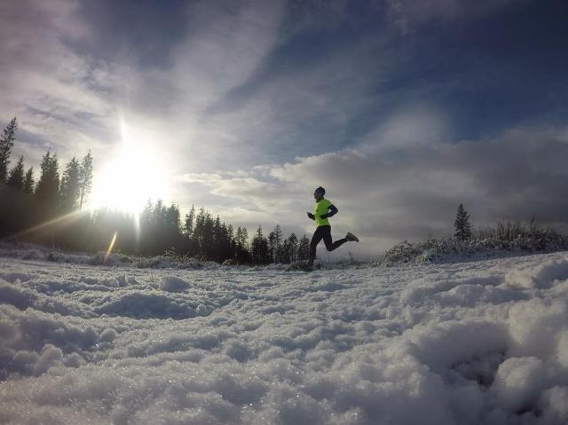 23916766_10155002087800868_5586117090253647579_o