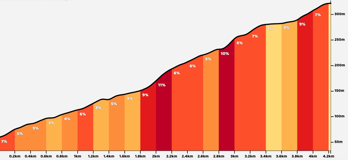 The Tak Challenge for&nbsp;Dummies